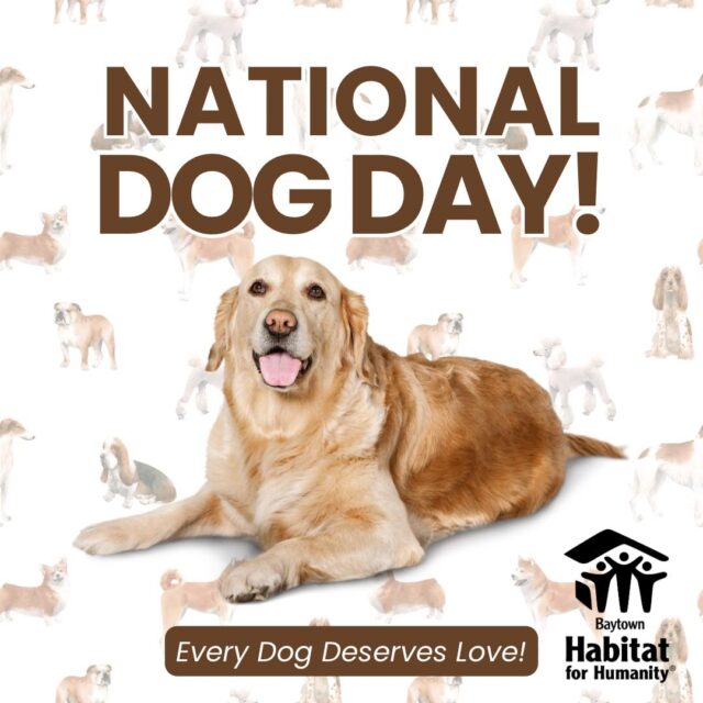 🐾 Happy National Dog Day! 🐾🏠
Today, we’re celebrating the four-legged friends who make our houses feel even more like home. 🐶💚
At Habitat for Humanity, we believe everyone deserves a safe place to call home—including the furry family members who are always there to greet us, keep us company, and remind us what unconditional love looks like. 🐾
Let’s make it interactive! 👇
📸 Show us your Habitat hound!
Drop a photo of your dog in the comments and tell us their name. 🐶❤️
And the big question…
🐾 Who really runs your household? 😂
You… or the dog?
Tag a fellow dog lover and let’s fill the comments with some four-legged happiness!
#NationalDogDay #HabitatForHumanity #DogsOfHabitat #HomeIsWhereTheDogIs #FurryFamily #BuildingCommunity