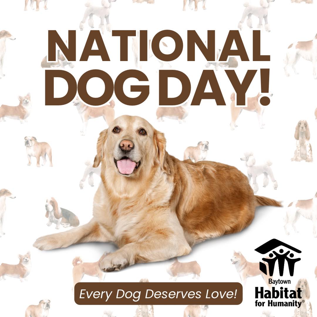 🐾 Happy National Dog Day! 🐾🏠
Today, we’re celebrating the four-legged friends who make our houses feel even more like home. 🐶💚
At Habitat for Humanity, we believe everyone deserves a safe place to call home—including the furry family members who are always there to greet us, keep us company, and remind us what unconditional love looks like. 🐾
Let’s make it interactive! 👇
📸 Show us your Habitat hound!
Drop a photo of your dog in the comments and tell us their name. 🐶❤️
And the big question…
🐾 Who really runs your household? 😂
You… or the dog?
Tag a fellow dog lover and let’s fill the comments with some four-legged happiness!
#NationalDogDay #HabitatForHumanity #DogsOfHabitat #HomeIsWhereTheDogIs #FurryFamily #BuildingCommunity